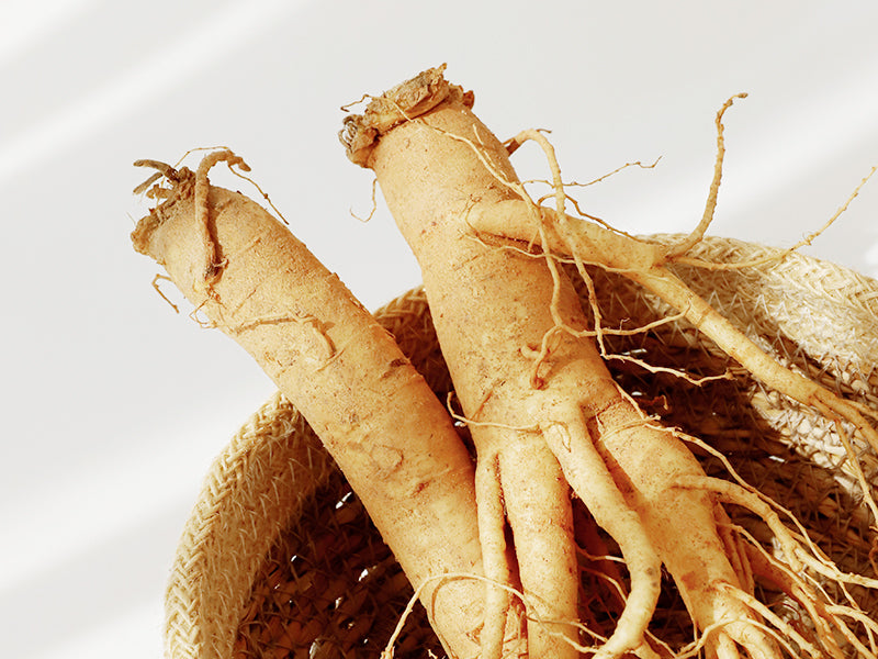 Healthy Hanbang ingredients in BOJ